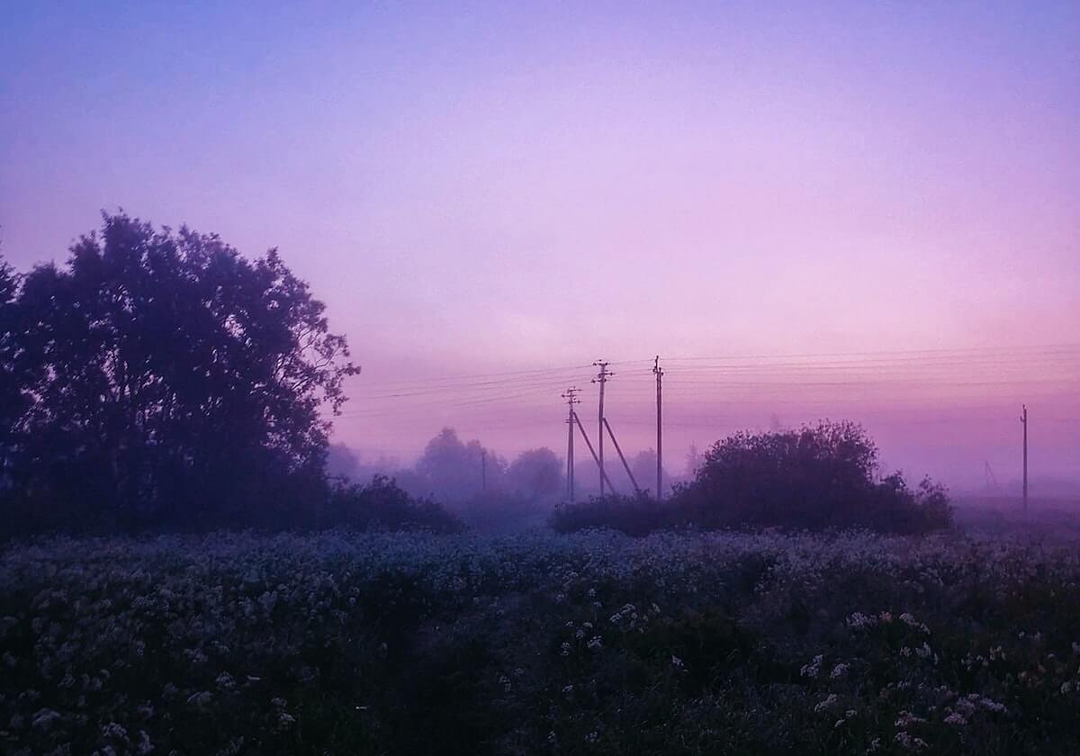 发现半岛体育-CBA-琼斯19+12珀塞尔24+6 卡位战山东大胜广东